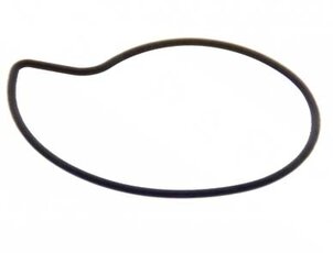 Tesnenie vodnej pumpy Piaggio