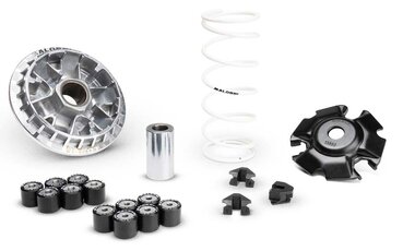 Variátor pre Honda PCX 125i od Malossi 2021 2024 JK05E Variátor pre Honda PCX 125i od Malossi 2021 2024 JK05E