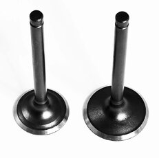 Ventily pre pitbike 125cc 27mm 23mm 