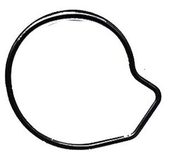 Tesnenie vodného čerpadla Dinli  E130084-00 SDL270-084