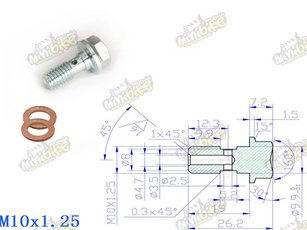 Holender M10x1,25 19mm aj pre Nissin brzdy Holender M10x1,25 19mm aj pre Nissin brzdy