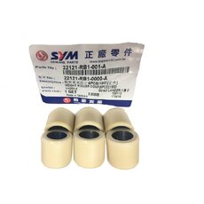 Valčeky variátora 25x22 18g 6kusov pre SYM GTS 300i JOYMAX NEW 300i EVO CITYCOM 300