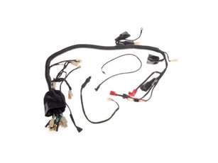 Kabeláž pre ATV 250 STXE verzia B