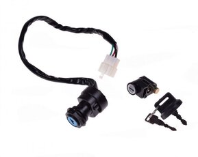 Spínacia skrinka s 2ks kľúčov ATV250 ST-9E XY300STE