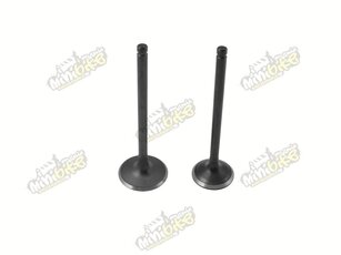 Ventily pre Zongshen 250cc