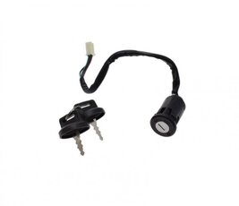 Spínacia skrinka pre Bashan BS250S-5 verzia2