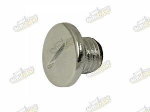 Skrutka plastová M13 krytu zapaľovania pre ATV 110/125ccm Skrutka plastová M13 krytu zapaľovania pre ATV 110/125ccm