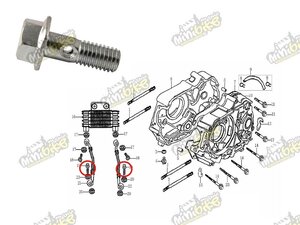 Holender M8x23 pre ZS W150