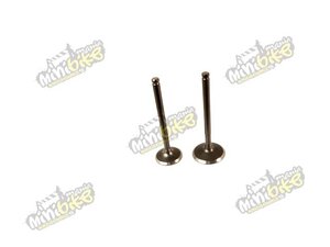 Ventily pre motory YX150, ZS155, 1P60