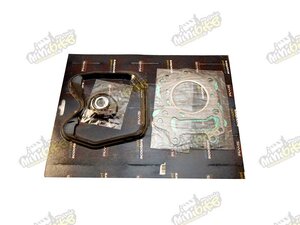 Tesnenie motora Aprilia Leonardo, Scarabeo,BMW C1 Rotax 150cc