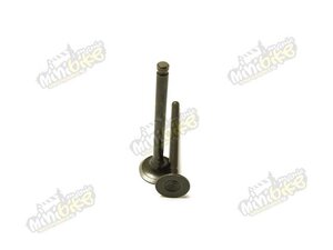 Ventily pre skútre GY6 50ccm 139QMB/QMA