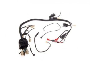 Kabeláž pre ATV 250 STXE verzia B