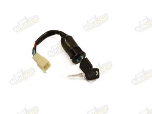 Spínacia skrinka Bashan BS200s7