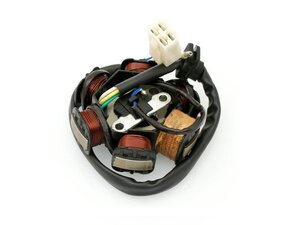 Stator cievka zapaľovacia 6cievok pre ATV, Pitbike 110-125ccm