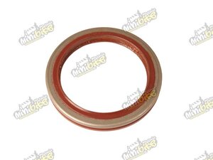 Gufero variatora 54 70 8  CF-MOTO Gladiator 0180-013105