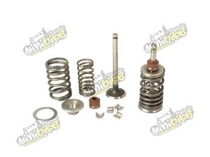 Sada ventilov na motor ATV110/125cc aj Pitbike110cc DAX Sada ventilov na motor ATV110/125cc aj Pitbike110cc DAX