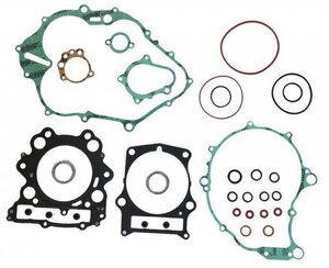 Tesnenie koplet Yamaha Raptor YFM660