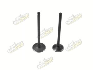 Ventily pre Zongshen 250cc