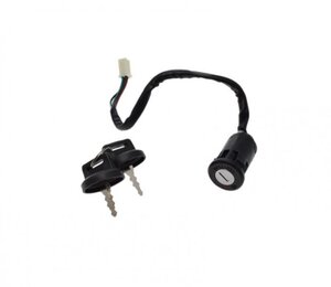 Spínacia skrinka pre Bashan BS250S-5 verzia2