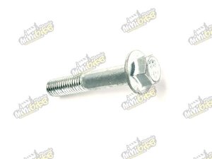 Skrutka M10x55mm M1005501