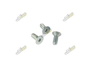 Skrutka rozety a kotúča M8x1,25 20mm zapustená